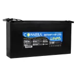 BATERÍA DE LITIO LIFEPO₄ BATT24FT-100-LITIO